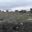 land for sale pachna limassol 829237 thumbnail 11082219