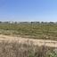 plot for sale pervolia larnaca 1471237 thumbnail 16119973