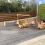 4 bedroom detached house for sale kamares tala paphos 8447337 thumbnail 15081905