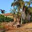 5 bedroom bungalow for sale ormideia larnaca 8626337 thumbnail 15848763