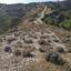 land for sale agios therapon limassol 823337 thumbnail 15603723