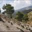 land for sale agios therapon limassol 823337 thumbnail 15603724