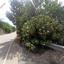 land for sale kelokedara paphos 8106437 thumbnail 16009478