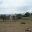 land for sale polemi paphos 1171437 thumbnail 1662164