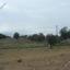 land for sale polemi paphos 1171437 thumbnail 1662166