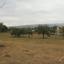land for sale polemi paphos 1171437 thumbnail 1662167