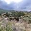 land for sale spilia nicosia 1353437 thumbnail 17343306
