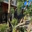 5 bedroom detached house for rent potamos germasogeias limassol 8291537 thumbnail 14883665