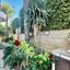 5 bedroom detached house for rent potamos germasogeias limassol 8291537 thumbnail 14883671
