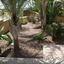 5 bedroom detached house for sale kalogiroi limassol 1684537 thumbnail 4403735