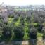 land for sale ormideia larnaca 7816537 thumbnail 10652916
