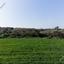 land for sale ormideia larnaca 7816537 thumbnail 10652917