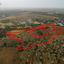 land for sale paralimni famagusta 896537 thumbnail 15869188