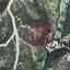land for sale tochni larnaca 8698537 thumbnail 16205384