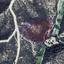 land for sale tochni larnaca 8698537 thumbnail 16205385