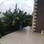 4 bedroom detached house for sale kato polemidia limassol 7738637 thumbnail 12562581