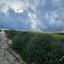 land for sale pano arodes paphos 1868637 thumbnail 15597340