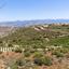 land for sale pano arodes paphos 1868637 thumbnail 15597343