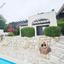 2 bedroom bungalow for sale tala paphos 1787737 thumbnail 5432102