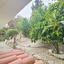 2 bedroom bungalow for sale tala paphos 1787737 thumbnail 5432128