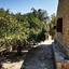 4 bedroom detached house for sale anglisides larnaca 8587737 thumbnail 15692484