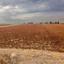 land for sale frenaros famagusta 941737 thumbnail 1838020