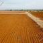 land for sale frenaros famagusta 941737 thumbnail 1838022