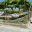 studio mixed use project for sale pachna limassol 1146737 thumbnail 9318735