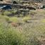 plot for sale arakapas limassol 7546837 thumbnail 14984322