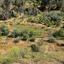 plot for sale arakapas limassol 7546837 thumbnail 14984323