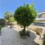 3 bedroom detached house for sale peyia paphos 1898937 thumbnail 14226352