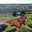 land for sale paralimni famagusta 1625937 thumbnail 5669022