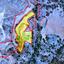 land for sale politiko nicosia 1152937 thumbnail 5164003