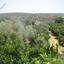 3 bedroom bungalow for sale goudi paphos 1616047 thumbnail 5582179