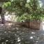 3 bedroom bungalow for sale goudi paphos 1616047 thumbnail 5582199