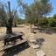 3 bedroom bungalow for sale goudi paphos 1616047 thumbnail 5582202