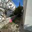 4 bedroom detached house for sale kato paphos paphos 8395047 thumbnail 17333819