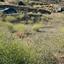 land for sale arakapas limassol 7751047 thumbnail 14981393