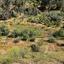 land for sale arakapas limassol 7751047 thumbnail 14981395