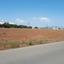 land for sale kato lakatamia nicosia 7792047 thumbnail 10455326
