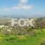 land for sale koili paphos 1565047 thumbnail 5641559