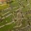 land for sale pachna limassol 848047 thumbnail 16009722