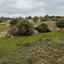 land for sale pachna limassol 848047 thumbnail 16009724