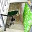 studio shop for sale faneromeni larnaca 7733047 thumbnail 12527177