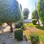 3 bedroom detached house for sale sea caves peyia paphos 1008147 thumbnail 1324847