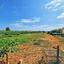 3 bedroom detached house for sale sea caves peyia paphos 1008147 thumbnail 1324863