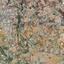land for sale pyrgos limassol limassol 7784147 thumbnail 11692963