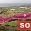 land sold agios theodoros larnacas larnaca 1070147 thumbnail 1953639