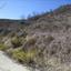 land for sale tsada paphos 7953247 thumbnail 15596470