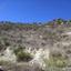 land for sale tsada paphos 7953247 thumbnail 15596471